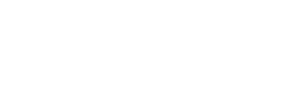 Zollexpress Terminlogistik